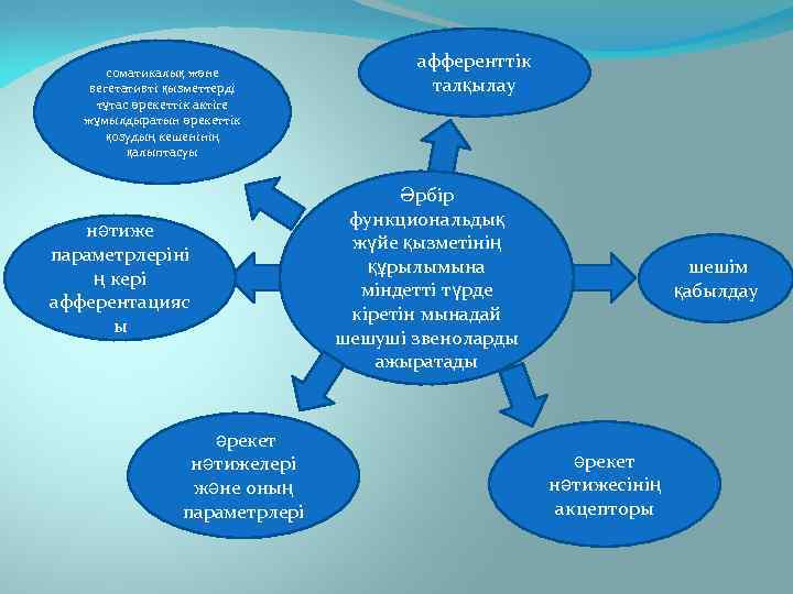 соматикалық және вегетативті қызметтерді тұтас әрекеттік актіге жұмылдыратын әрекеттік қозудың кешенінің қалыптасуы нәтиже параметрлеріні