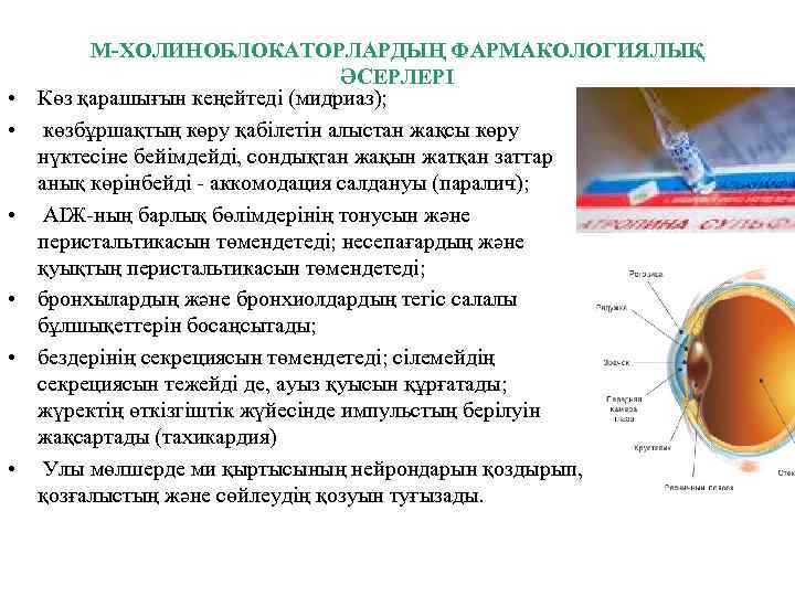  • • • М-ХОЛИНОБЛОКАТОРЛАРДЫҢ ФАРМАКОЛОГИЯЛЫҚ ӘСЕРЛЕРІ Көз қарашығын кеңейтеді (мидриаз); көзбұршақтың көру қабілетін