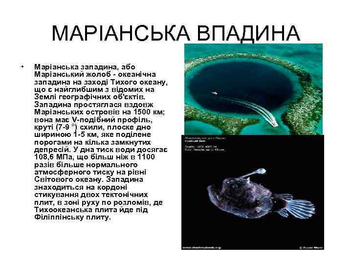 МАРІАНСЬКА ВПАДИНА • Маріанська западина, або Маріанський жолоб - океанічна западина на заході Тихого
