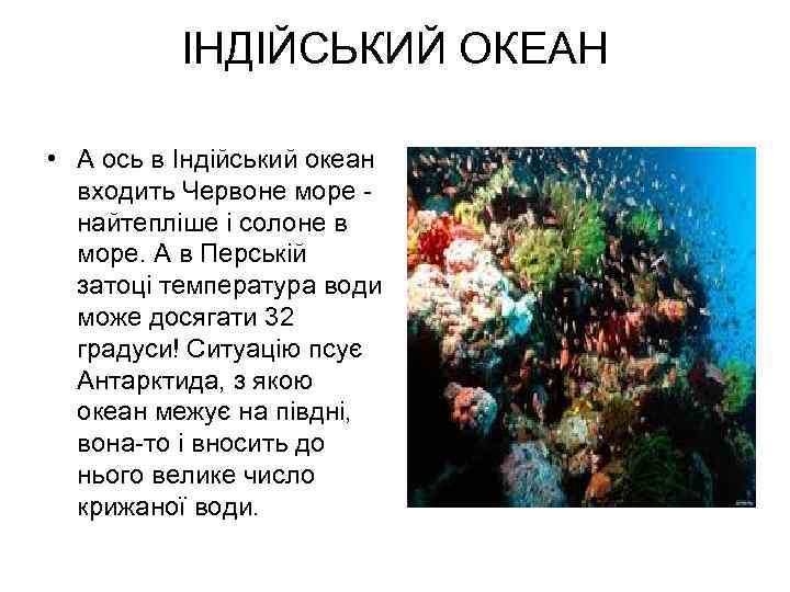 ІНДІЙСЬКИЙ ОКЕАН • А ось в Індійський океан входить Червоне море найтепліше і солоне