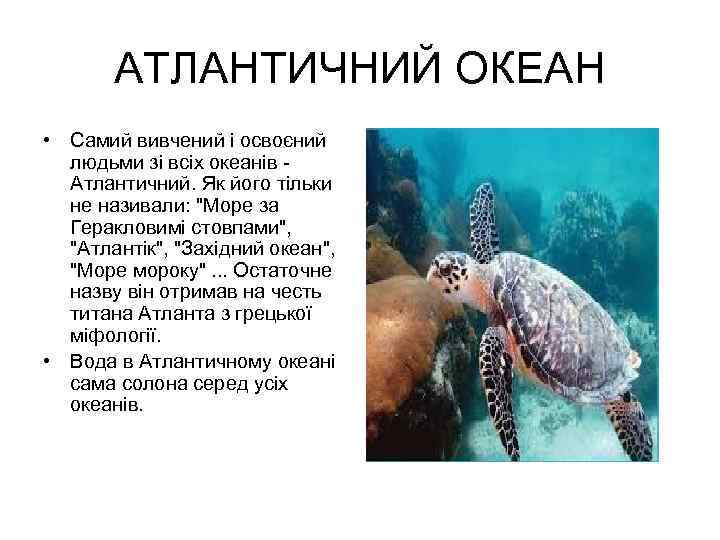 АТЛАНТИЧНИЙ ОКЕАН • Cамий вивчений і освоєний людьми зі всіх океанів Атлантичний. Як його
