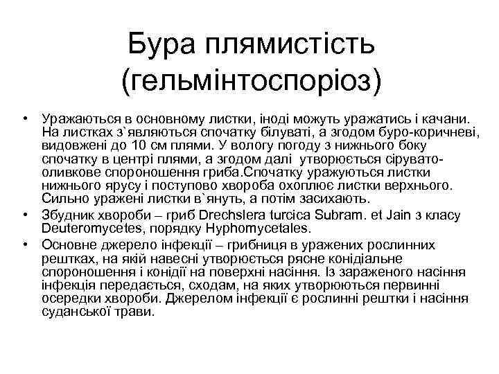 Бура плямистiсть (гельмiнтоспорiоз) • Уражаються в основному листки, iнодi можуть уражатись i качани. На