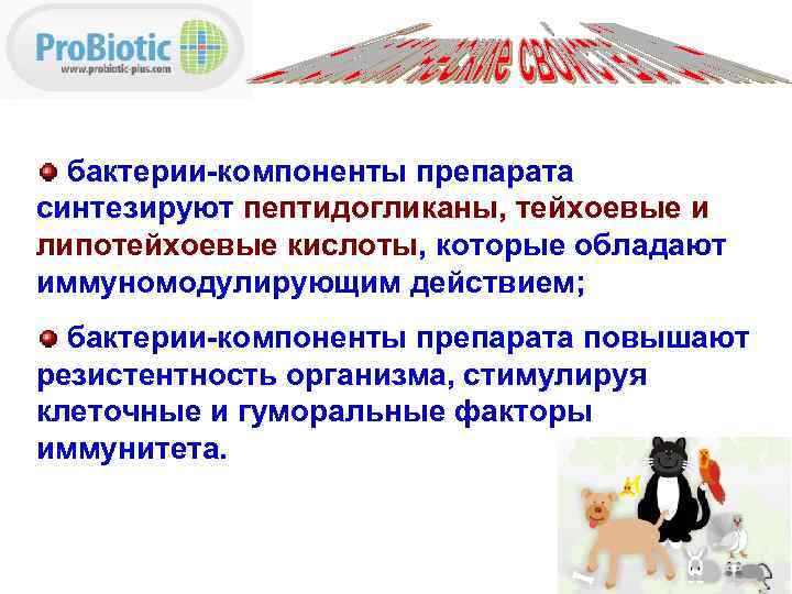 бактерии-компоненты препарата синтезируют пептидогликаны, тейхоевые и липотейхоевые кислоты, которые обладают иммуномодулирующим действием; бактерии-компоненты препарата