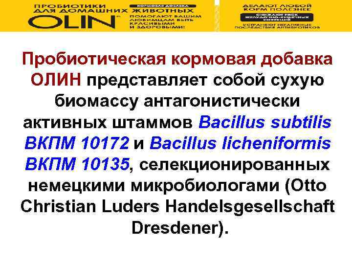 Пробиотическая кормовая добавка ОЛИН представляет собой сухую биомассу антагонистически активных штаммов Bacillus subtilis ВКПМ