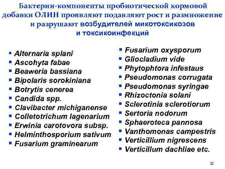 Бактерии-компоненты пробиотической кормовой добавки ОЛИН проявляют подавляют рост и размножение и разрушают возбудителей микотоксикозов
