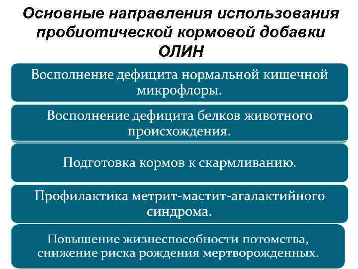 Основные направления использования пробиотической кормовой добавки ОЛИН 34 