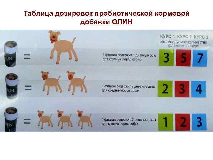Таблица дозировок пробиотической кормовой добавки ОЛИН 