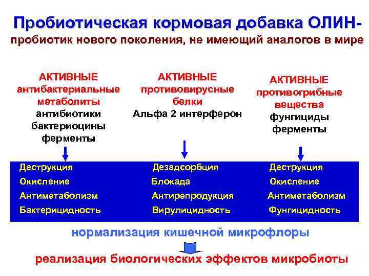 Пробиотическая кормовая добавка ОЛИНпробиотик нового поколения, не имеющий аналогов в мире АКТИВНЫЕ антибактериальные метаболиты