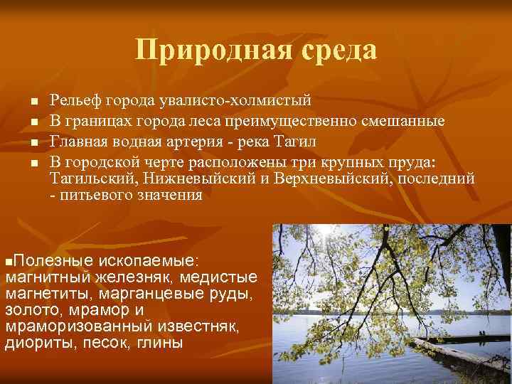 Природная среда n n Рельеф города увалисто-холмистый В границах города леса преимущественно смешанные Главная