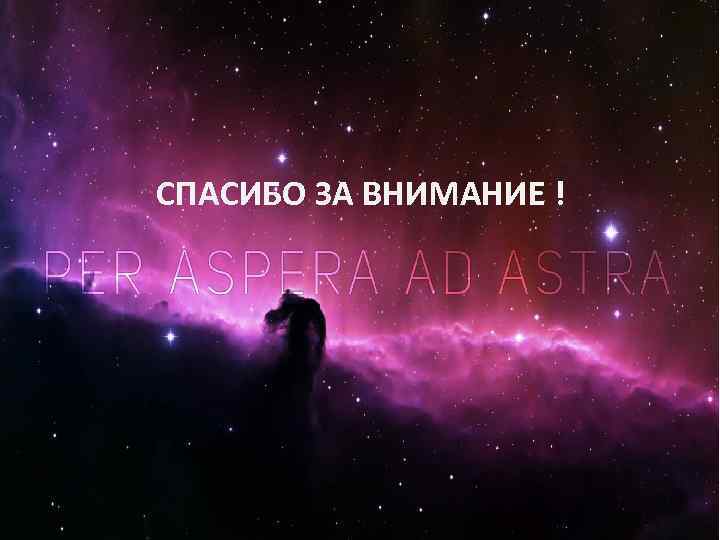 СПАСИБО ЗА ВНИМАНИЕ ! 53 