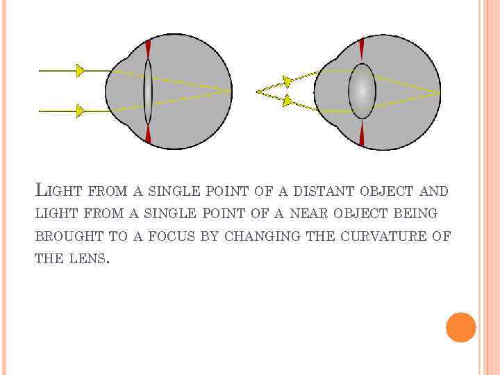 LIGHT FROM A SINGLE POINT OF A DISTANT OBJECT AND LIGHT FROM A SINGLE