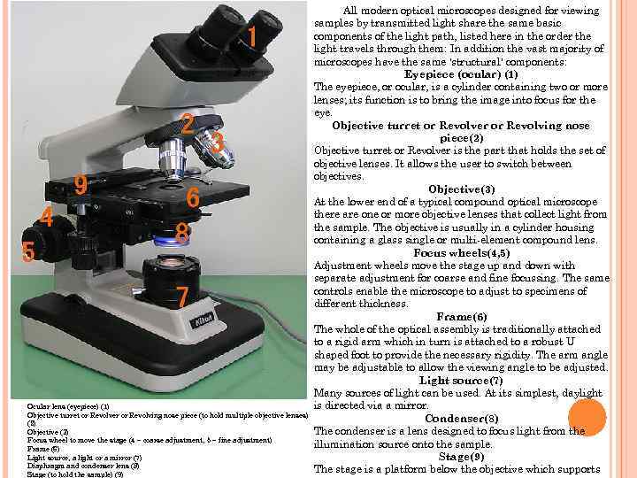 Ocular lens (eyepiece) (1) Objective turret or Revolver or Revolving nose piece (to hold