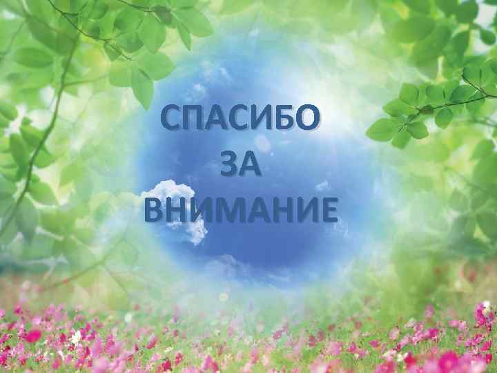 СПАСИБО ЗА ВНИМАНИЕ 