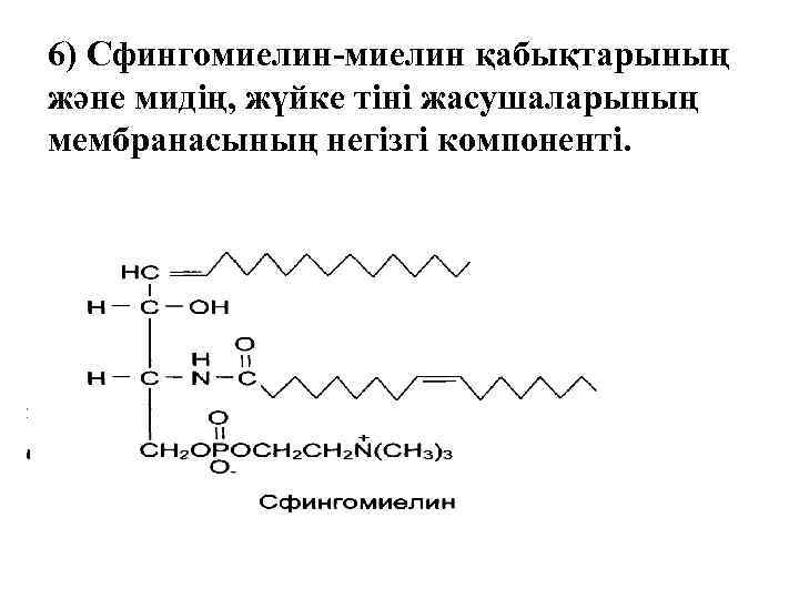 6) Сфингомиелин-миелин қабықтарының және мидің, жүйке тіні жасушаларының мембранасының негізгі компоненті. 