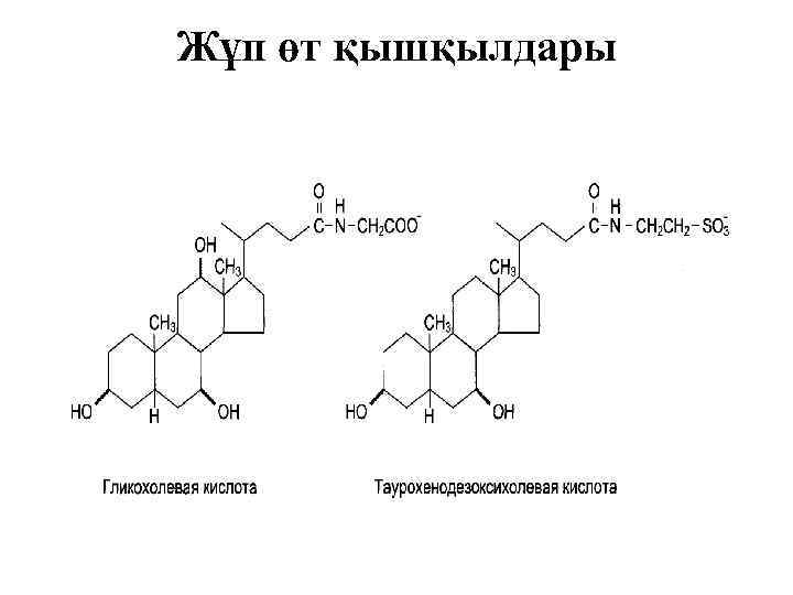 Жұп өт қышқылдары 