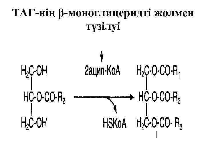 ТАГ-нің β-моноглицеридті жолмен түзілуі 