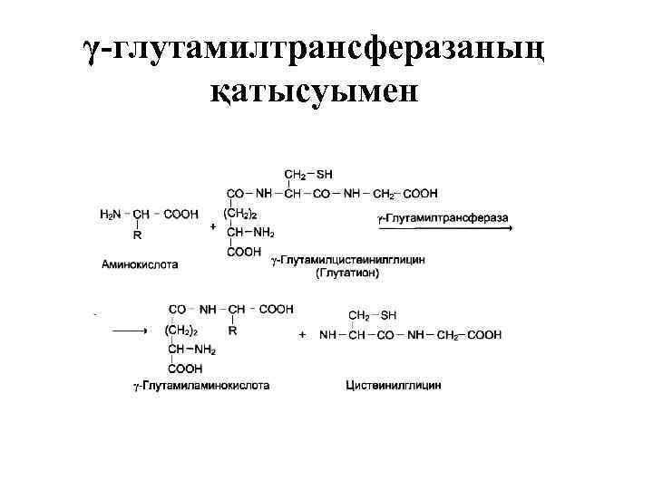 γ-глутамилтрансферазаның қатысуымен 