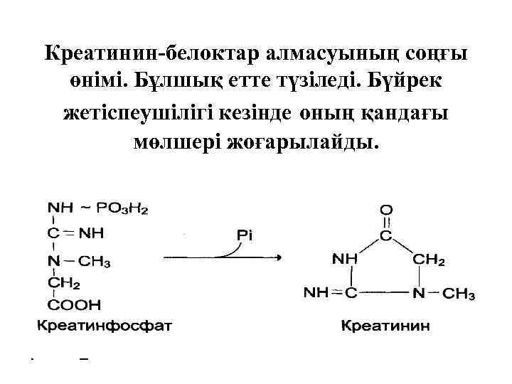 Трансляцияның соңғы өнімі