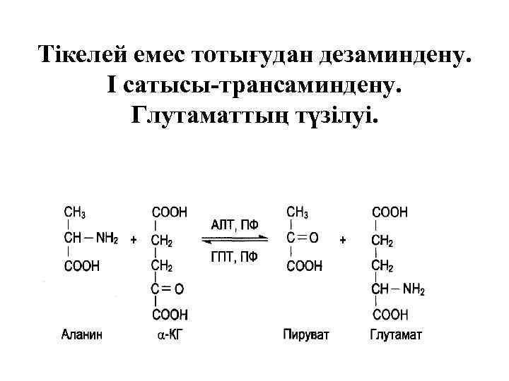 Тікелей емес тотығудан дезаминдену. І сатысы-трансаминдену. Глутаматтың түзілуі. 