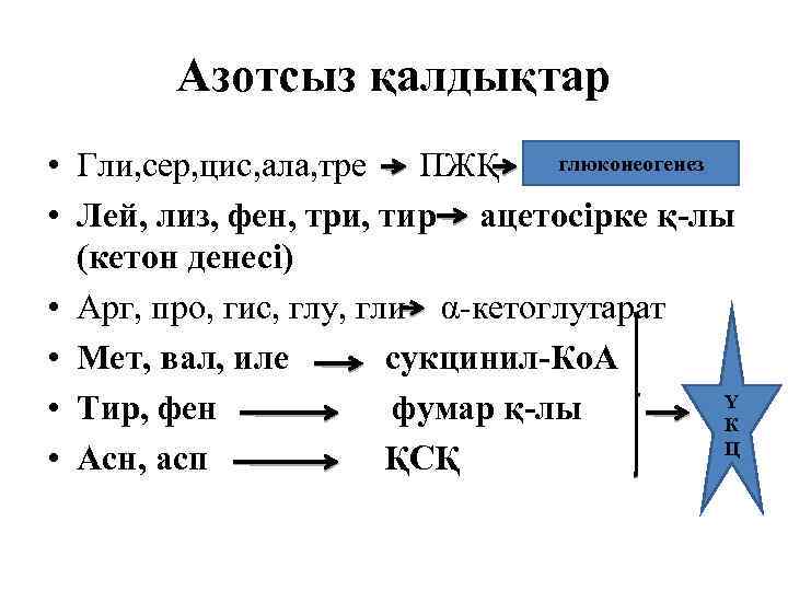 Азотсыз қалдықтар глюконеогенез • Гли, сер, цис, ала, тре ПЖҚ • Лей, лиз, фен,