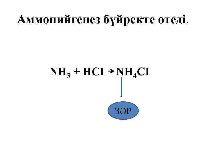 Аммонийгенез бүйректе өтеді. NH 3 + HCI NH 4 CI ЗӘР 