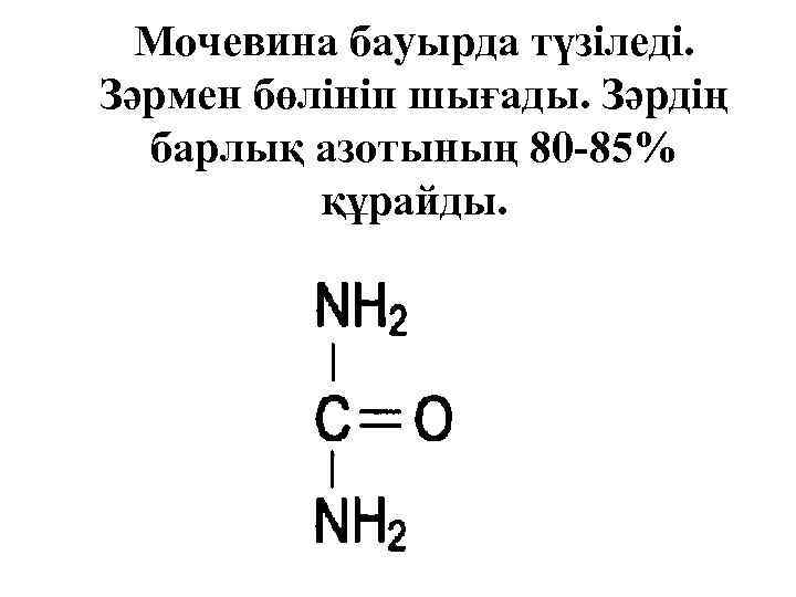 Мочевина бауырда түзіледі. Зәрмен бөлініп шығады. Зәрдің барлық азотының 80 -85% құрайды. 