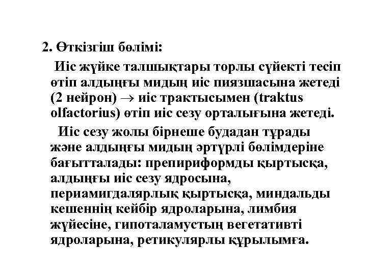 2. Өткізгіш бөлімі: Иіс жүйке талшықтары торлы сүйекті тесіп өтіп алдыңғы мидың иіс пиязшасына