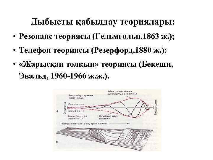 Дыбысты қабылдау теориялары: • Резонанс теориясы (Гельмгольц, 1863 ж. ); • Телефон теориясы (Резерфорд,