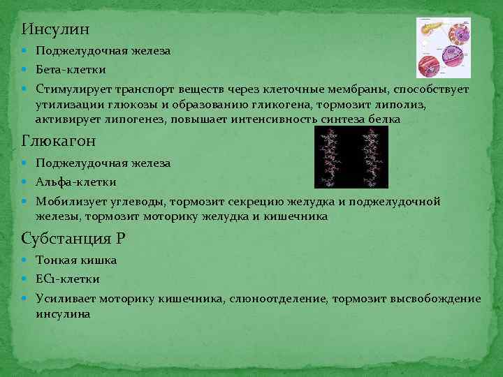 Инсулин Поджелудочная железа Бета клетки Стимулирует транспорт веществ через клеточные мембраны, способствует утилизации глюкозы