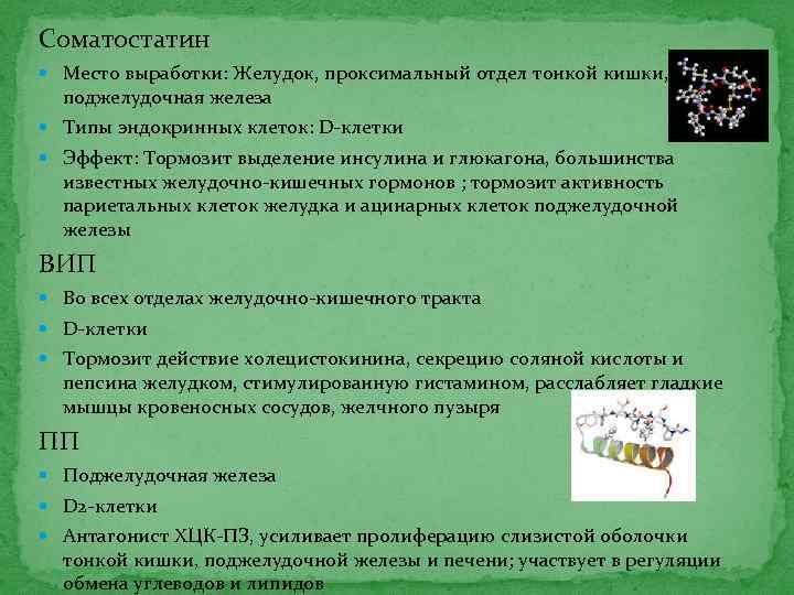 Соматостатин Место выработки: Желудок, проксимальный отдел тонкой кишки, поджелудочная железа Типы эндокринных клеток: D