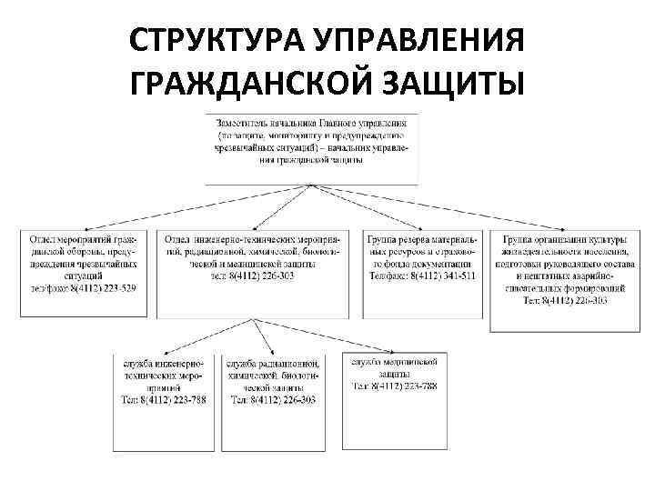 СТРУКТУРА УПРАВЛЕНИЯ ГРАЖДАНСКОЙ ЗАЩИТЫ 