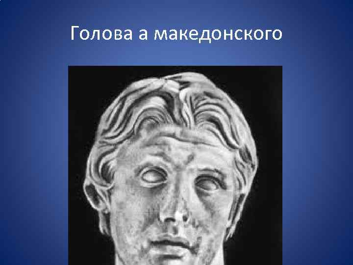 Голова а македонского 