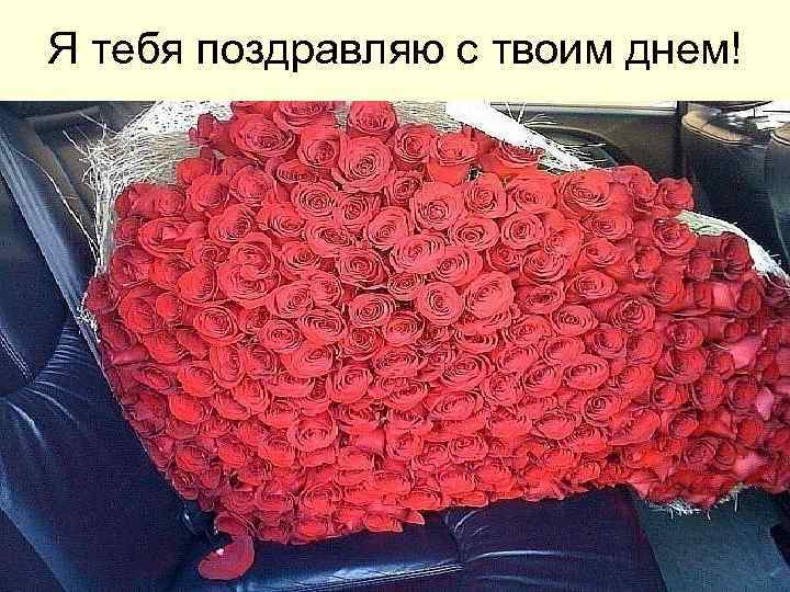 Я тебя поздравляю с твоим днем! 