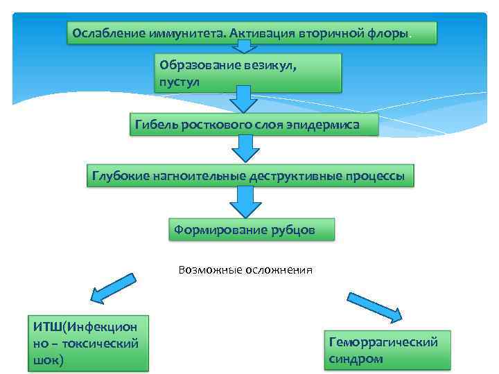 Ослабление иммунитета. Активация вторичной флоры. Образование везикул, пустул Гибель росткового слоя эпидермиса Глубокие нагноительные