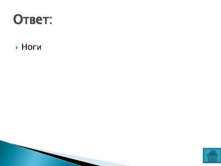 Ответ: Ноги 