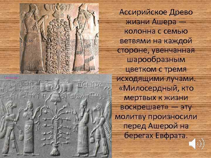  Ассирийское Древо жизни Ашера — колонна с семью ветвями на каждой стороне, увенчанная