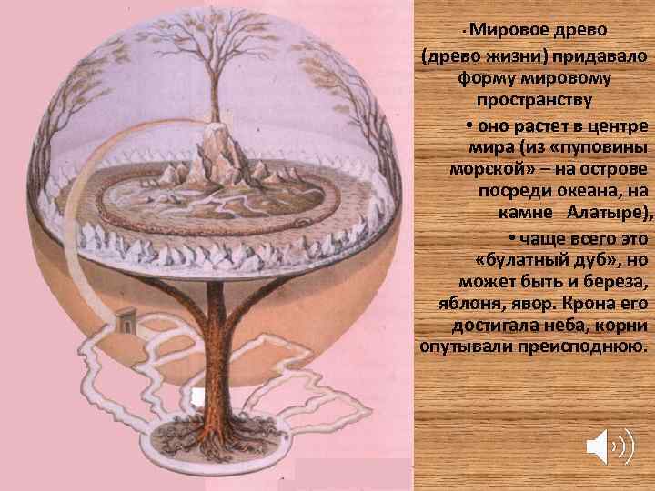 Мировое древо (древо жизни) придавало форму мировому пространству • оно растет в центре мира