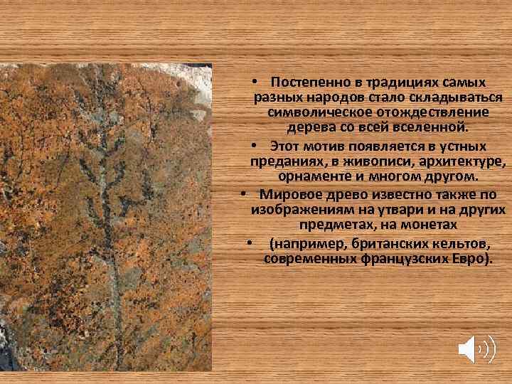  • Постепенно в традициях самых разных народов стало складываться символическое отождествление дерева со