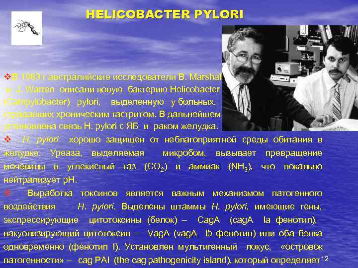 HELICOBACTER PYLORI v. В 1983 г австралийские исследователи В. Marshall и J. Warren описали