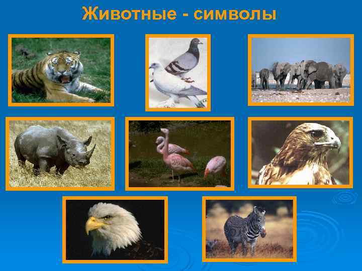 Животные - символы 