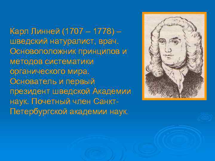 Карл Линней (1707 – 1778) – шведский натуралист, врач. Основоположник принципов и методов систематики