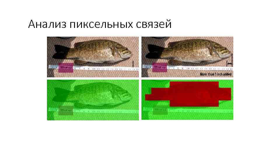 Анализ пиксельных связей 