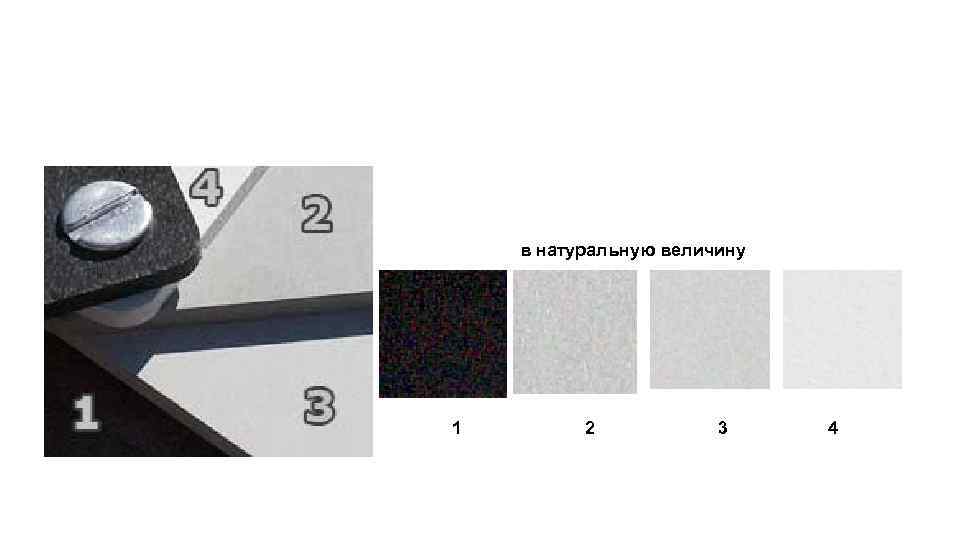 в натуральную величину 1 2 3 4 