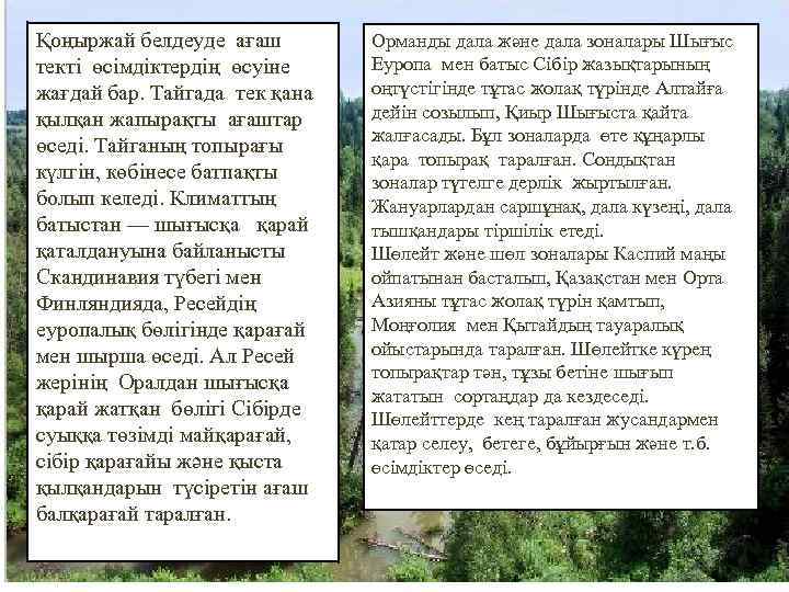 Қоңыржай белдеуде ағаш текті өсімдіктердің өсуіне жағдай бар. Тайгада тек қана қылқан жапырақты ағаштар