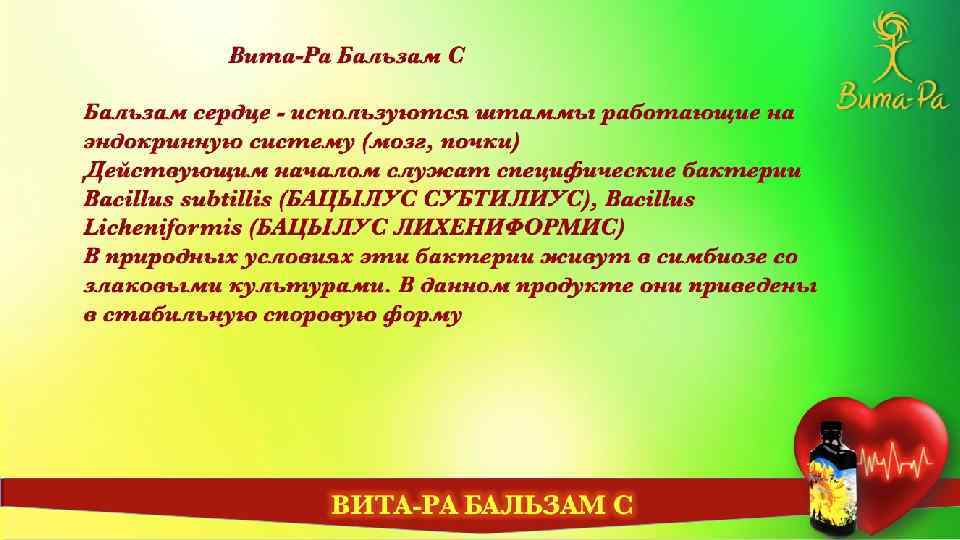 Вита-Ра Бальзам С Бальзам сердце - используются штаммы работающие на эндокринную систему (мозг, почки)