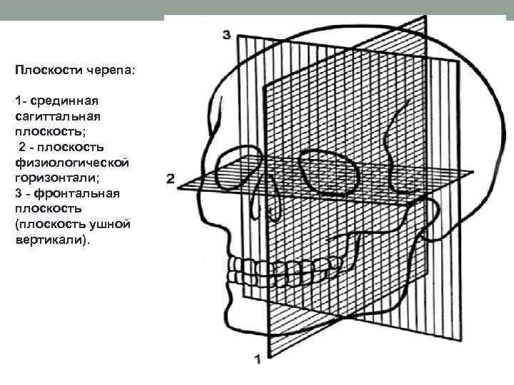 Срединная плоскость