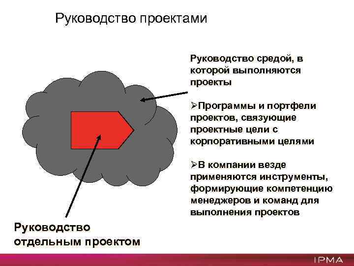 Руководство проектами Руководство средой, в которой выполняются проекты ØПрограммы и портфели проектов, связующие проектные