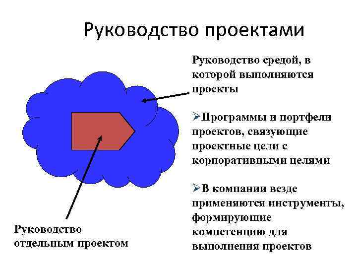 Руководство проектами Руководство средой, в которой выполняются проекты ØПрограммы и портфели проектов, связующие проектные