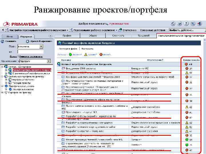 Ранжирование проектов/портфеля 40 