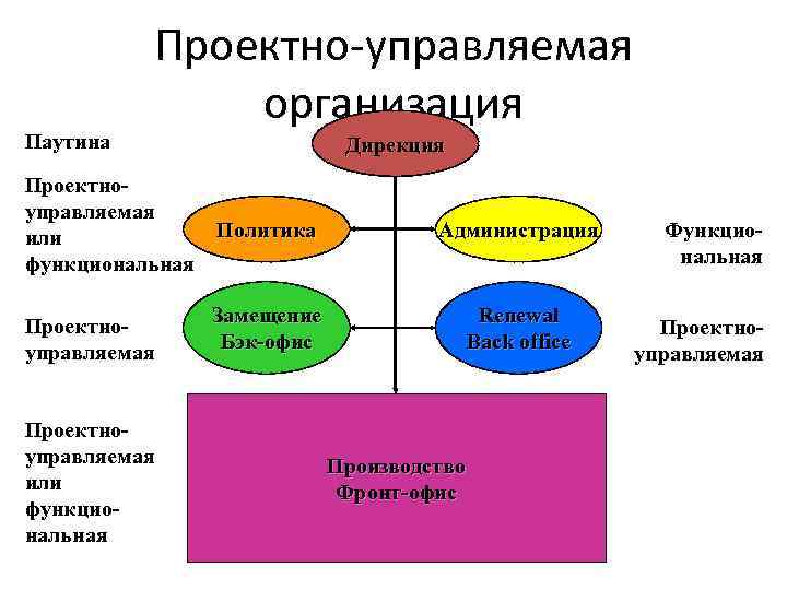 Паутина Проектно-управляемая организация Дирекция Проектноуправляемая Политика или функциональная Проектноуправляемая или функциональная Администрация Замещение Бэк-офис